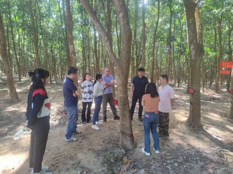 1702885245883072732.jpg 1702885245883072732.jpg