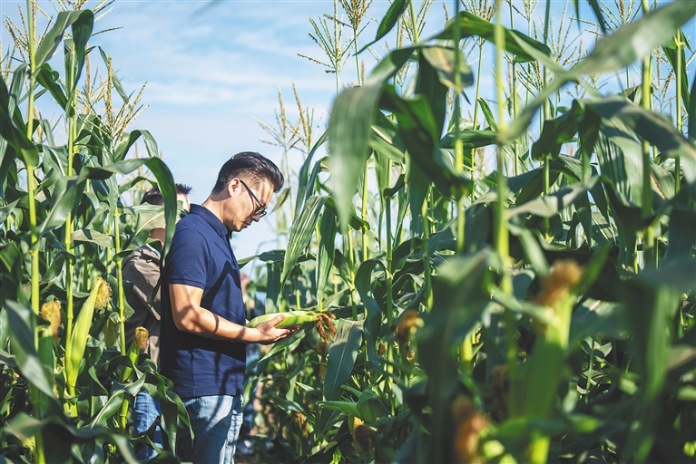 1705308048371055064.jpg 1705308048371055064.jpg