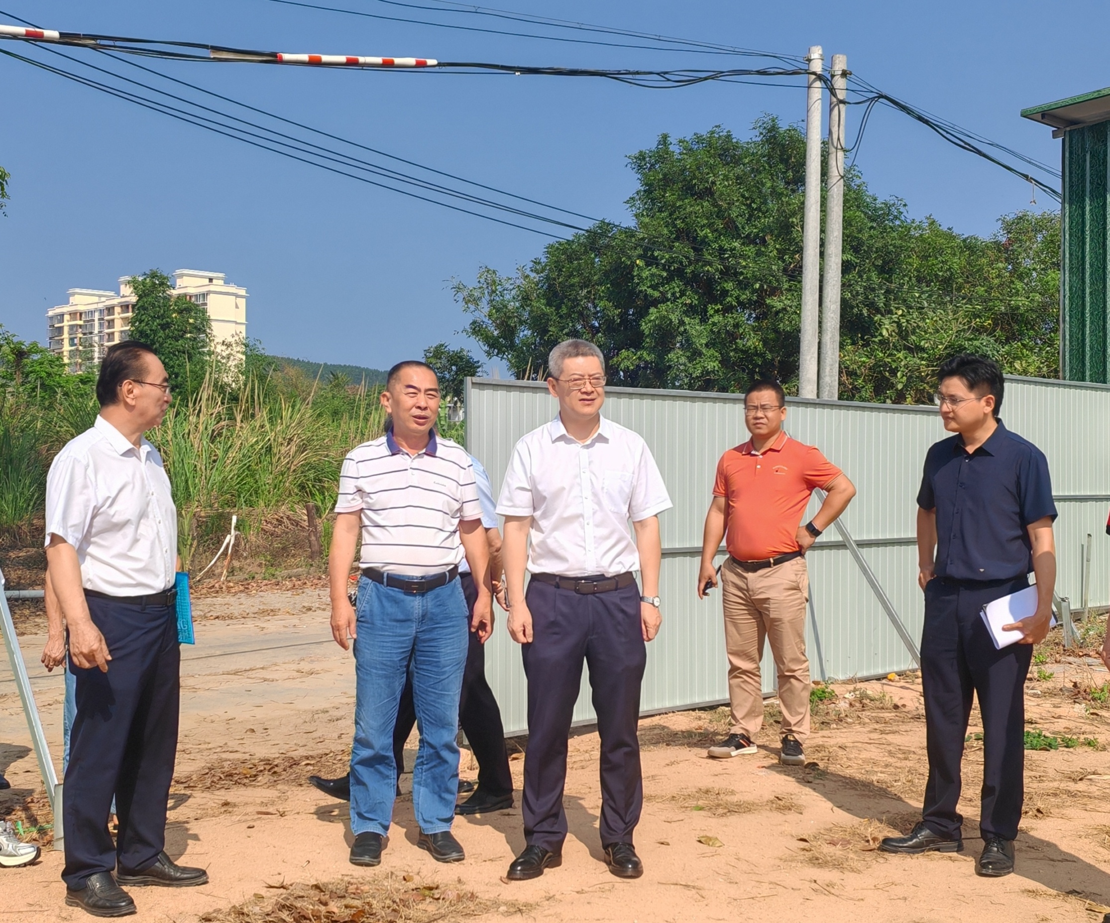 1711333484900009817.jpg 1711333484900009817.jpg