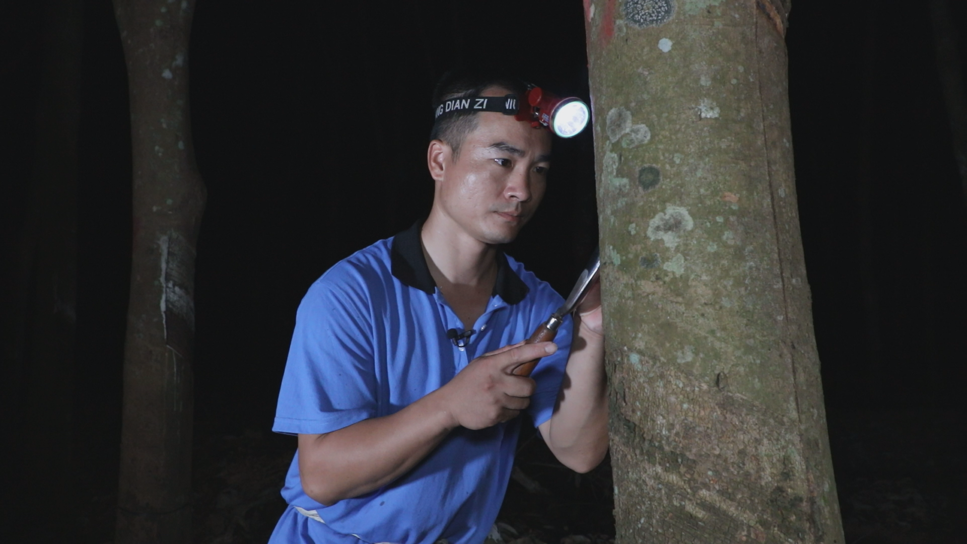 1715049842187076428.bmp 1715049842187076428.bmp