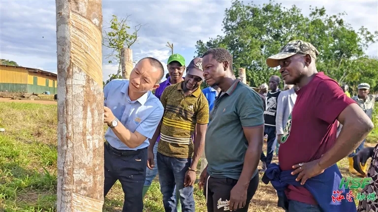 1719190379406028878.jpg 1719190379406028878.jpg