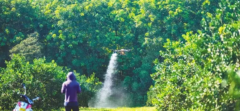 1722910053213099889.jpg 1722910053213099889.jpg