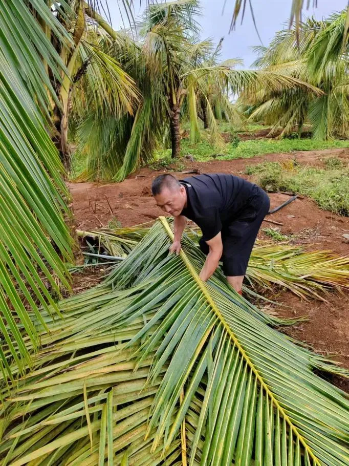 1726282361103089521.jpg 1726282361103089521.jpg