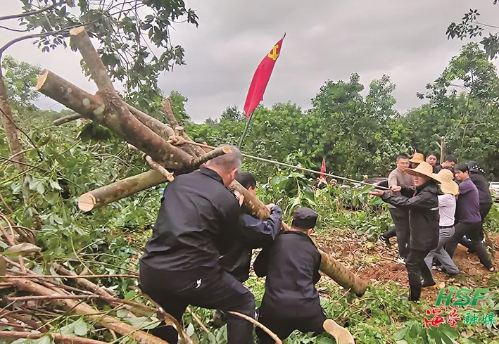 1726296413460042965.jpg 1726296413460042965.jpg