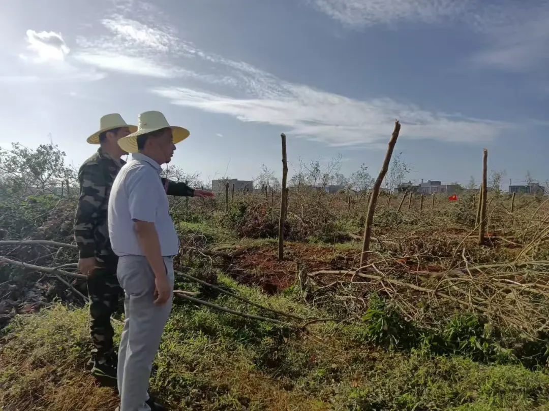 1726792334369067195.jpg 1726792334369067195.jpg