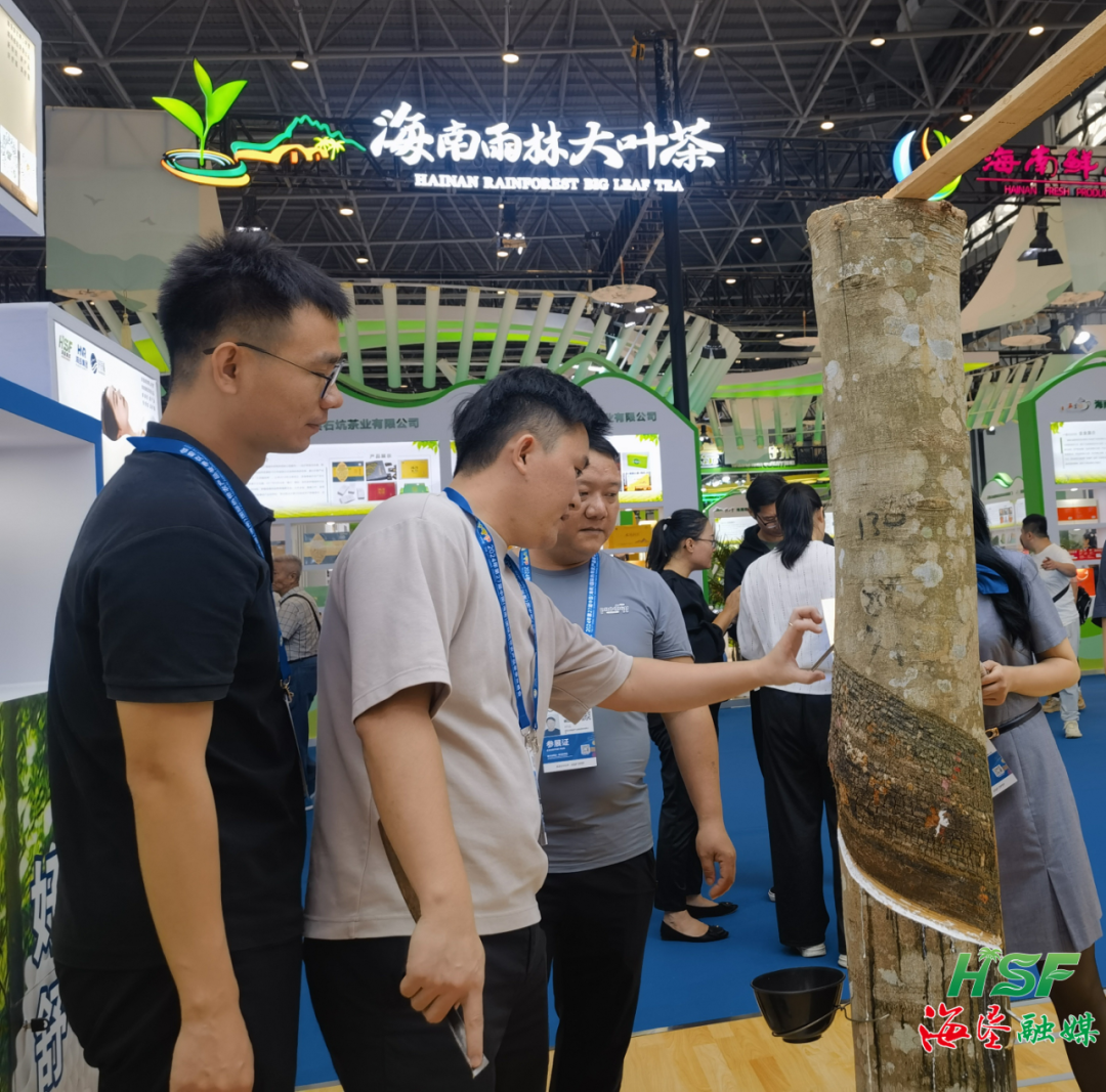 1733735341296010183.jpg 1733735341296010183.jpg